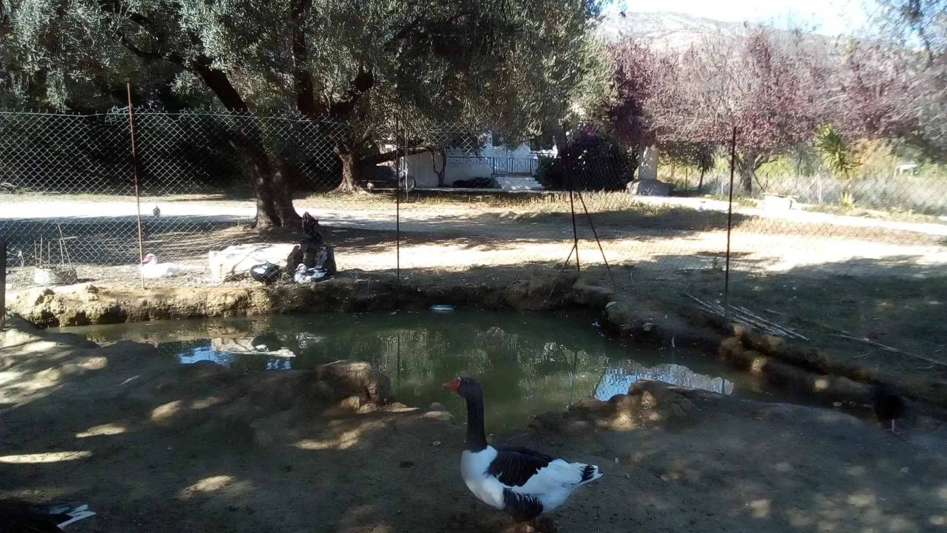 Apartment Katelios Farm House Loft Greece